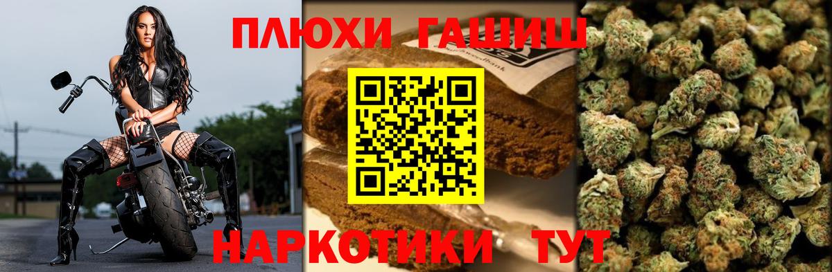 ГАШ Premium  ГАШ  Малгобек  Вход с VPN 