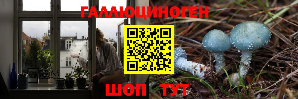 Псилоцибиновые грибы MAGIC MUSHROOMS  Вход с VPN  Малгобек 