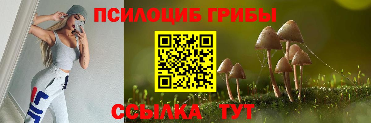 Псилоцибиновые грибы MAGIC MUSHROOMS Малгобек